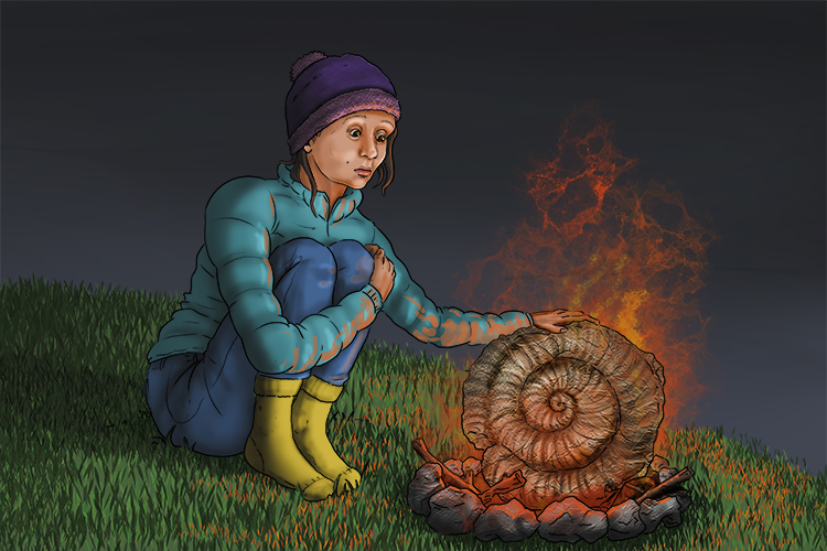 She used an old fossil she found on the hillside to fuel (fossil fuel) a fire she lit because it was so cold. She didn't realise fossils were millions of years old.